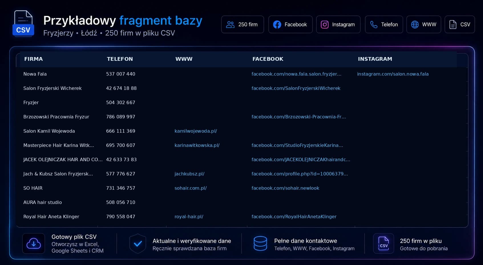 Przykładowy fragment bazy leadów CSV LocalLeads